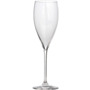 Набор из 2-х фужеров Champagne Glass 343 мл