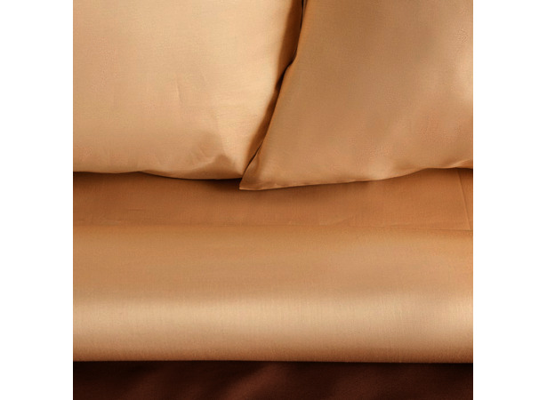 Комплект постельного белья Этель Elite Молочный шоколад сатин двуспальный евро