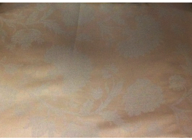Комплект постельного белья Marize Растительный орнамент на бежевом фоне жаккард 15 сп (нав 70х70 см)