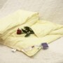 Одеяло Kingsilk Elisabette Элит летнее 200*220 см (бежевое)
